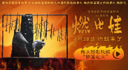 一级毛片无毒不卡直接观看