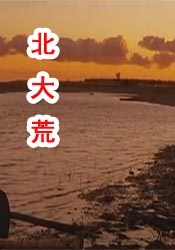 国产在线精品观看一区