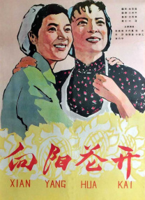 17在线观看