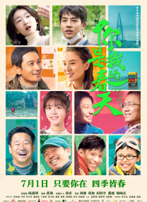 视频号在线观看